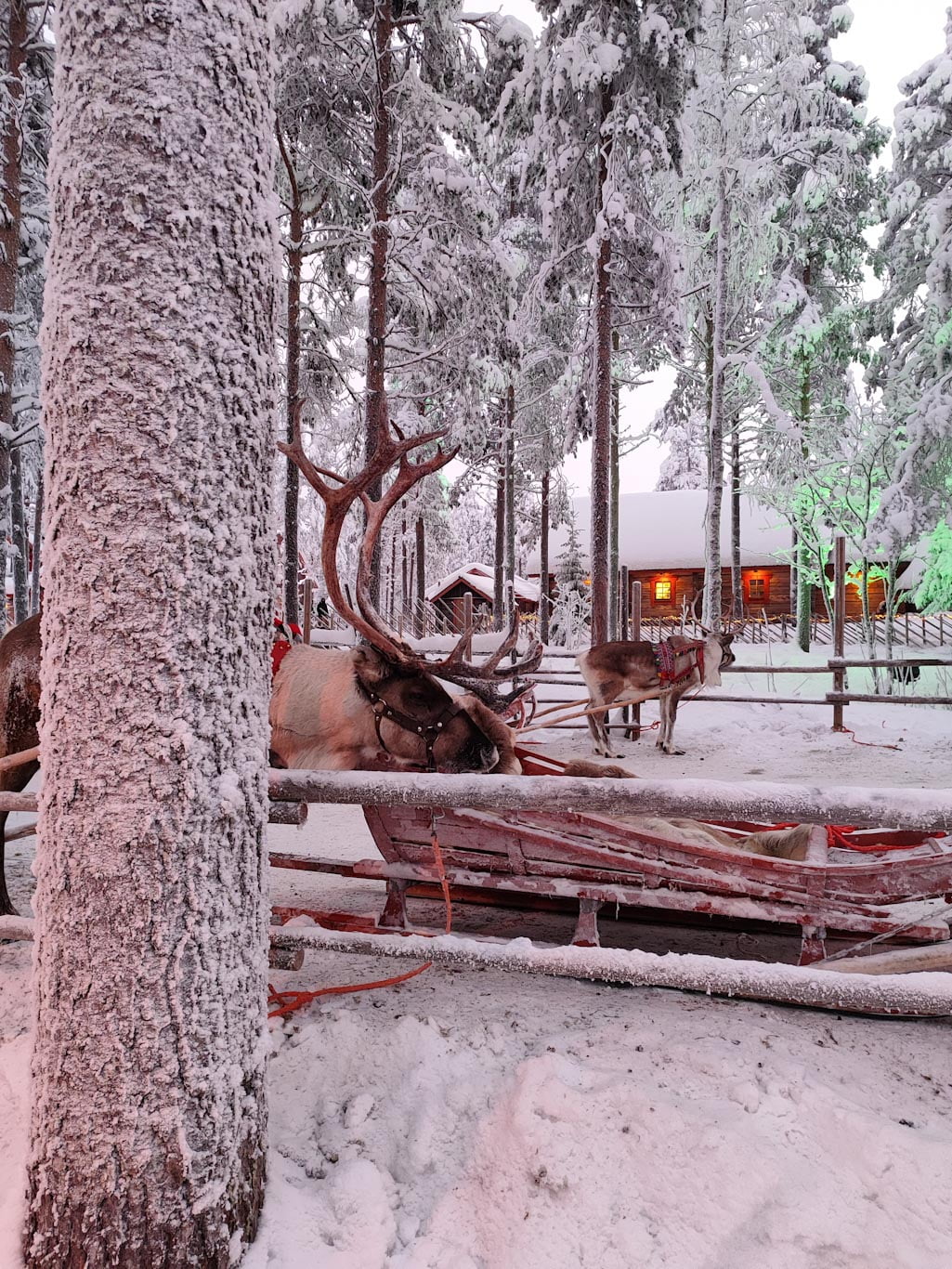 que hacer en Rovaniemi