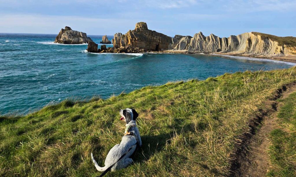 Cantabria con perro