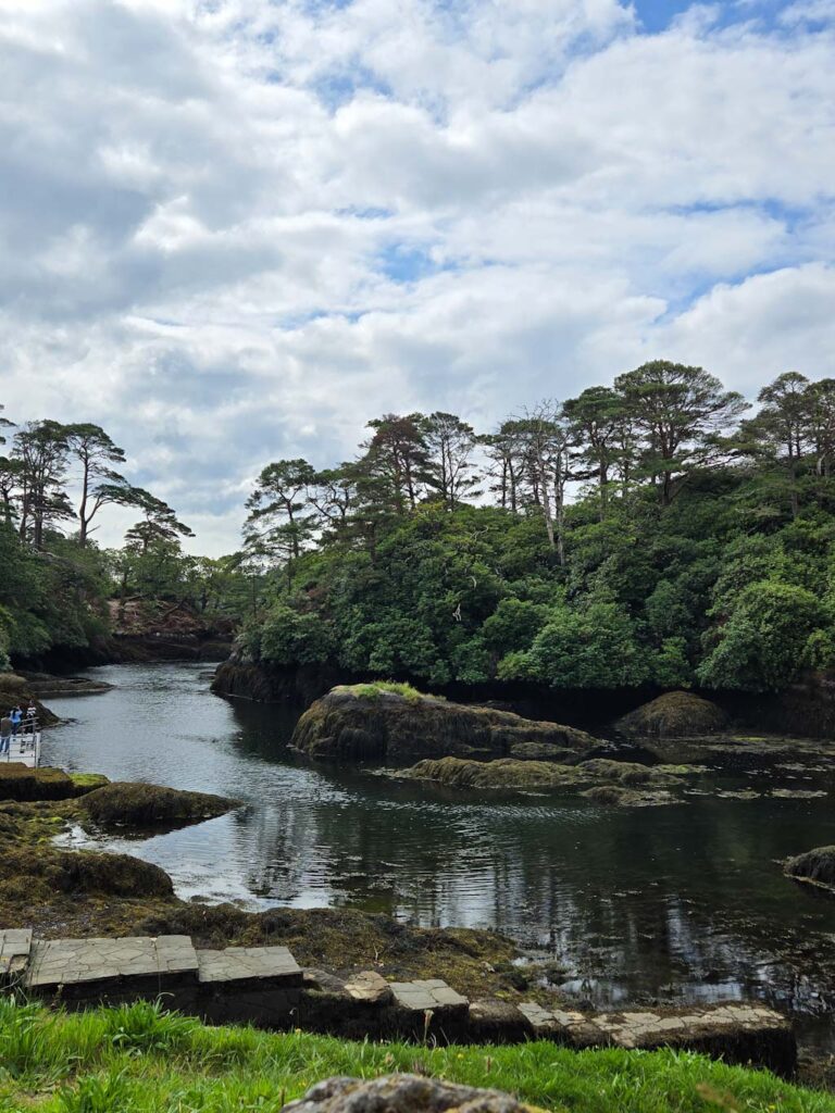 Ruta por Irlanda en coche - Glengariff
