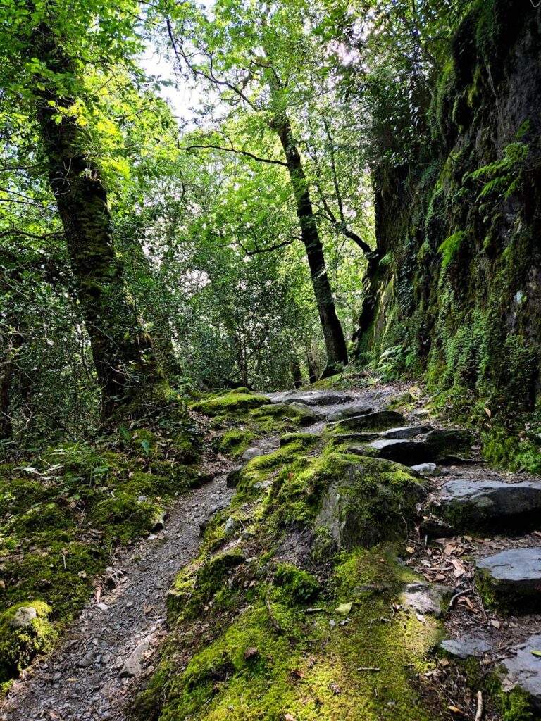 Ruta por Irlanda en coche - Glengariff