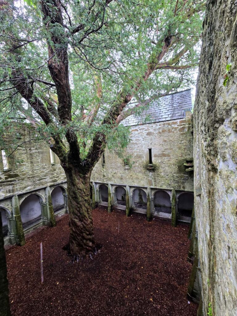 Ruta por Irlanda en coche - Abadía Muckross