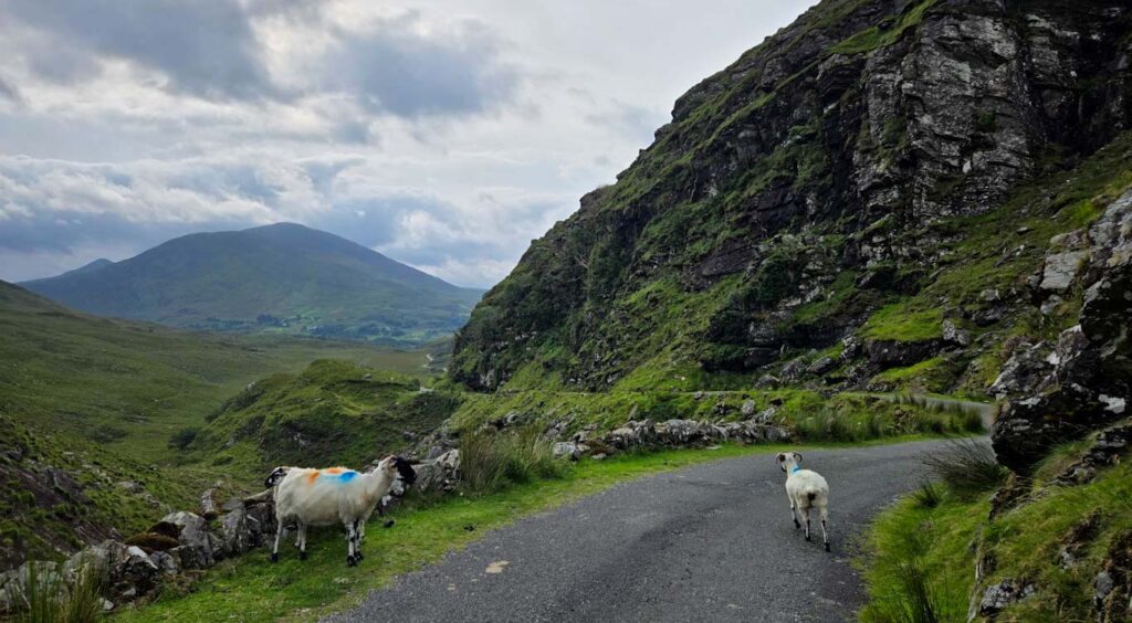 Ruta por Irlanda en coche