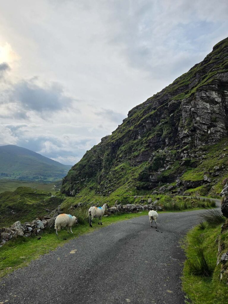 Ruta por Irlanda en coche - Ballaghbeama Gap