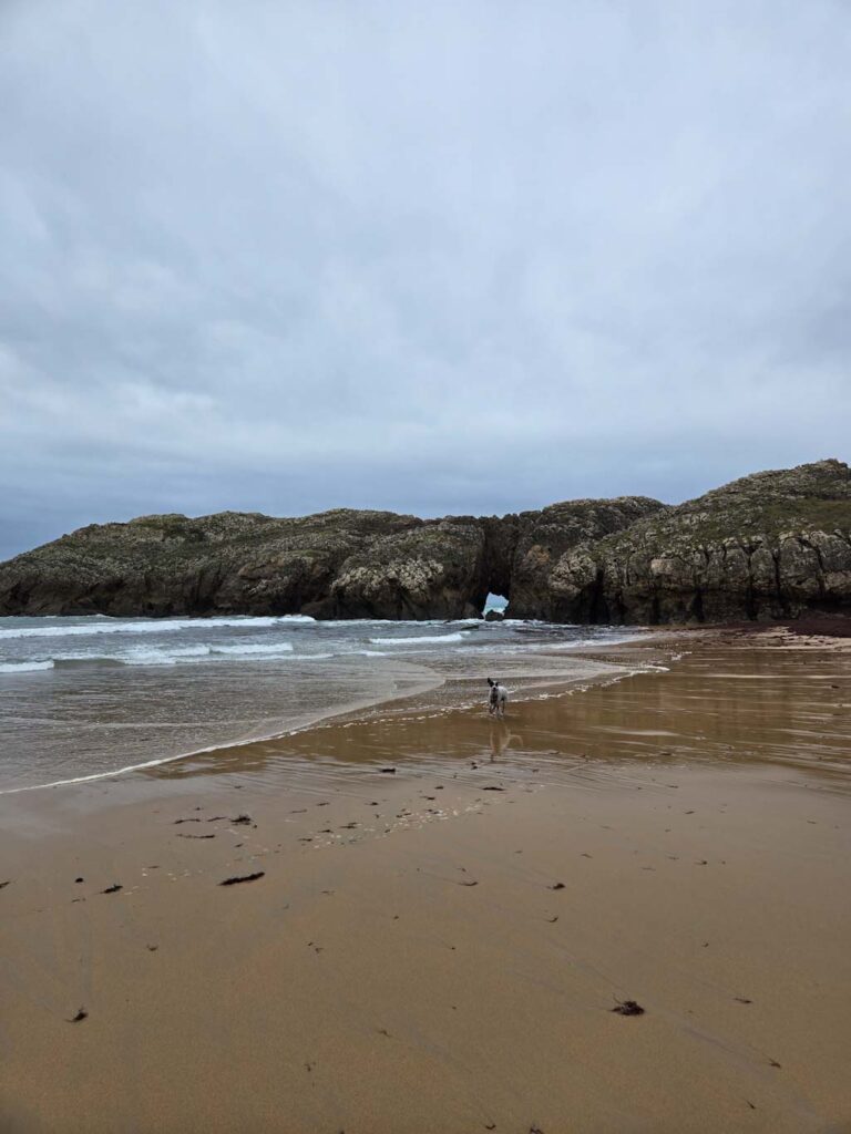 rutas de senderismo en Cantabria con perro