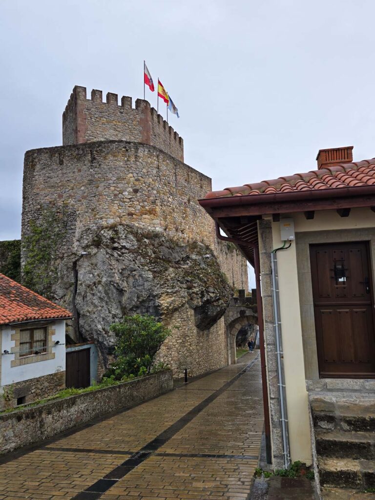 San Vicente de la Barquera con perro