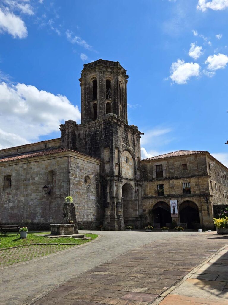 Que hacer en Cantabria con perro