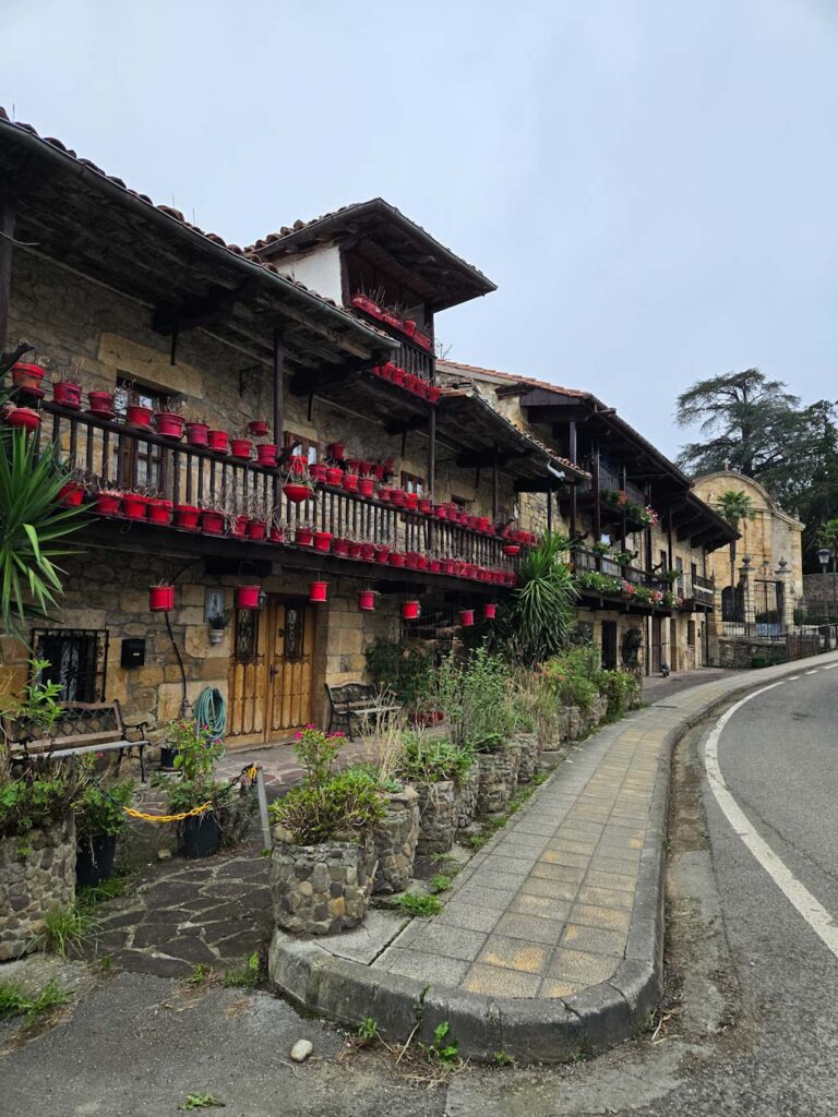 Que hacer en Cantabria con perro