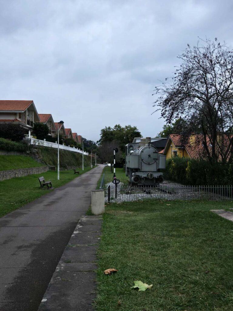 Cantabria con perro