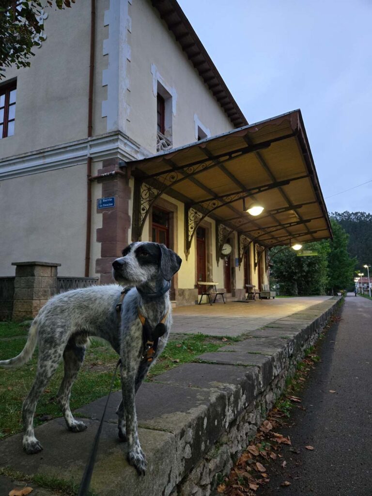 Cantabria con perro
