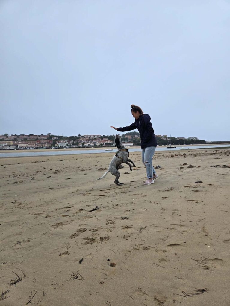 Playas en Cantabria con perro