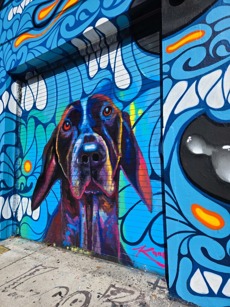 Barrio de Wynwood en Miami con grafitis y ambiente alternativo