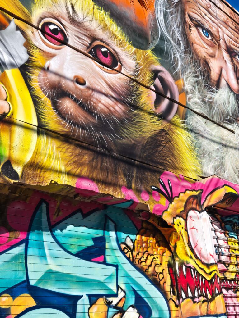 Barrio de Wynwood en Miami con grafitis y ambiente alternativo