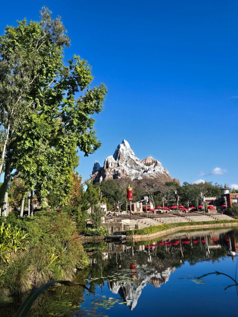 Florida en 10 días: Animal Kingdom