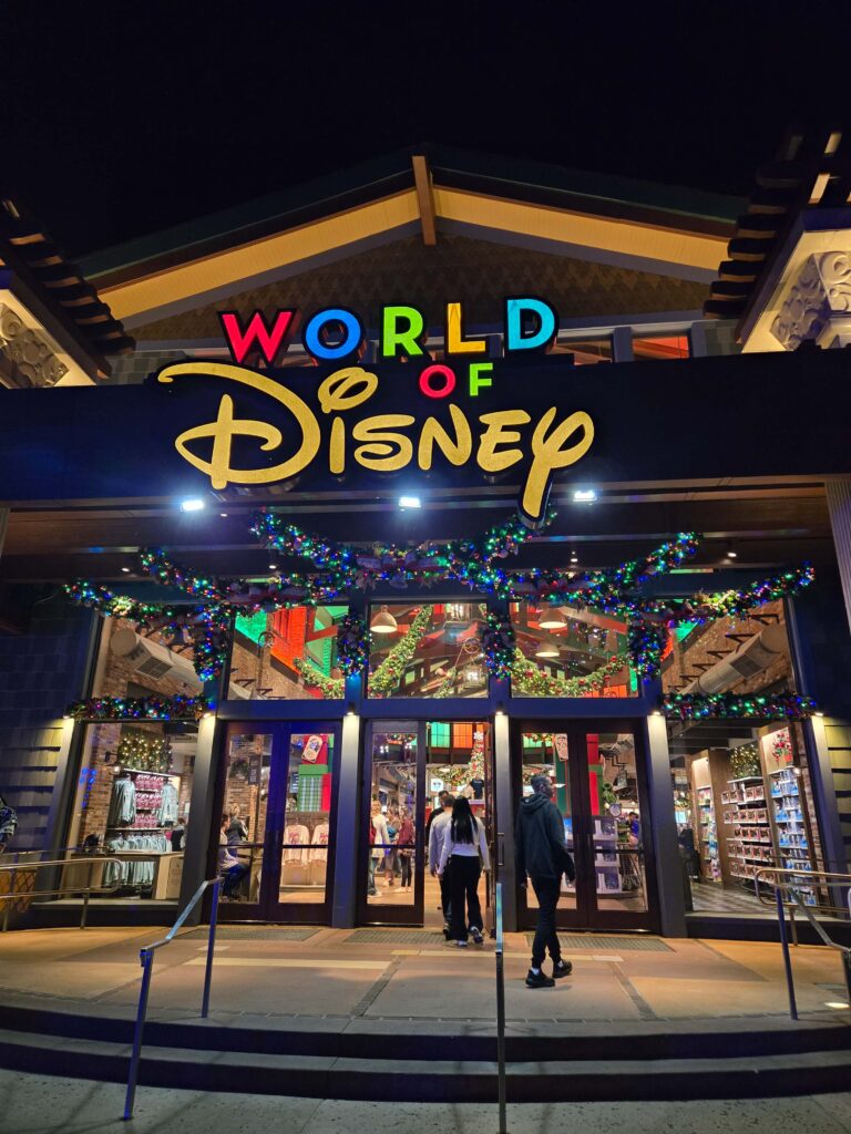 Florida en 10 días: Disney Springs