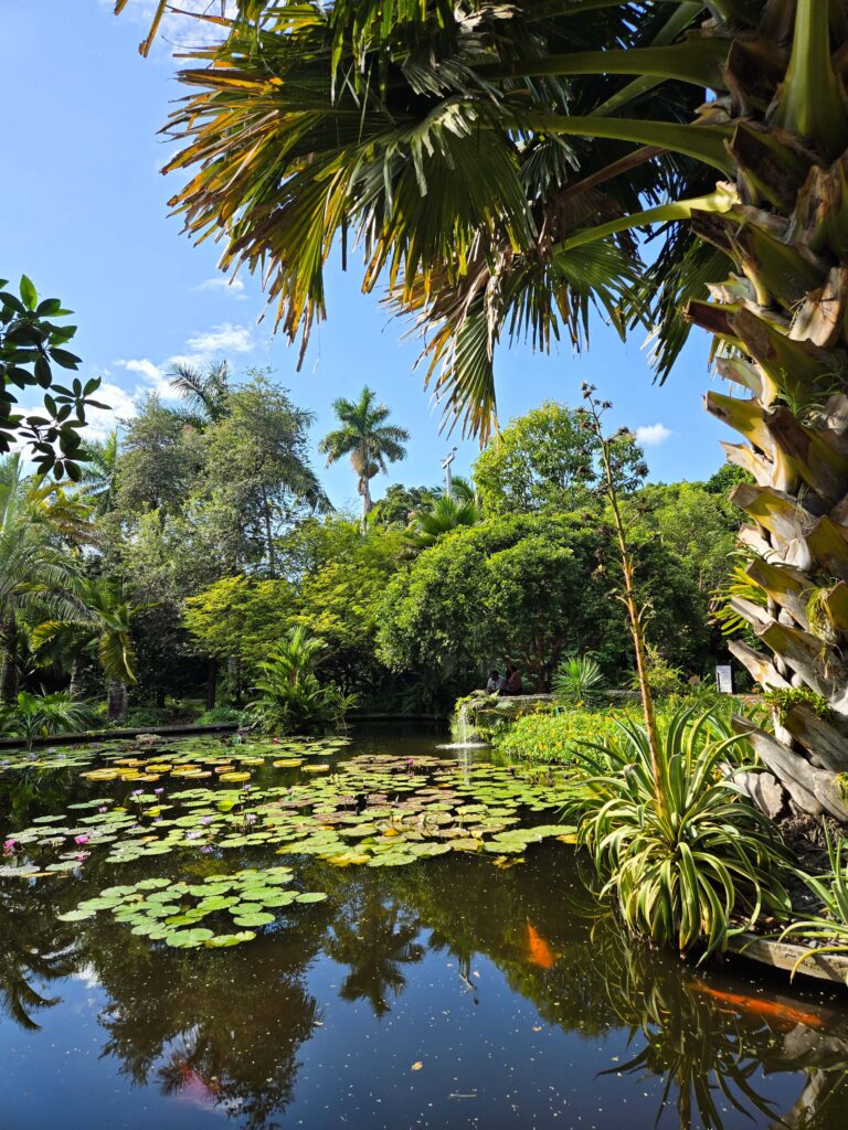 Miami Beach Botanical Garden vegetacion tropical
