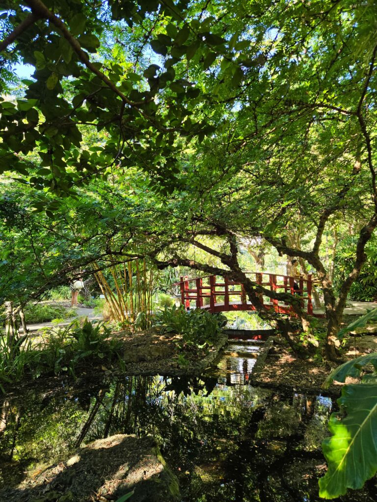 Miami Beach Botanical Garden vegetacion tropical