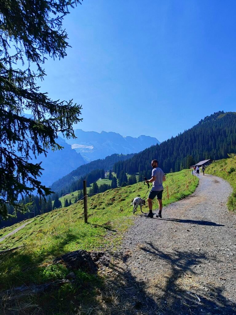 ruta de senderismo en Lauterbrunnen
